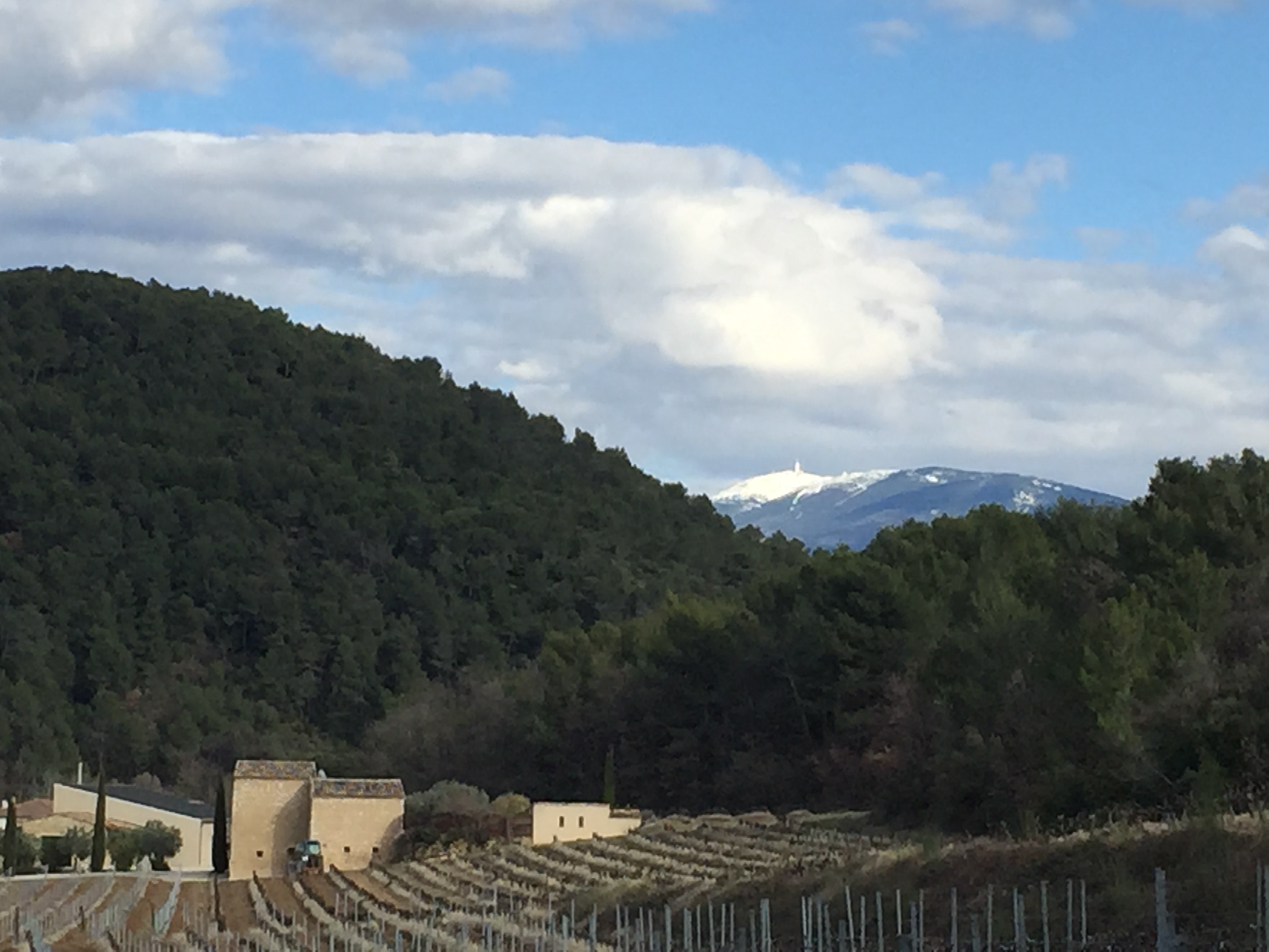 Vue sur le Ventoux depuis le Domaine